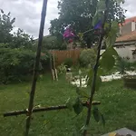 Accacia Oda ve Kahvaltı