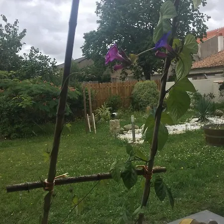 Accacia Bed & Breakfast