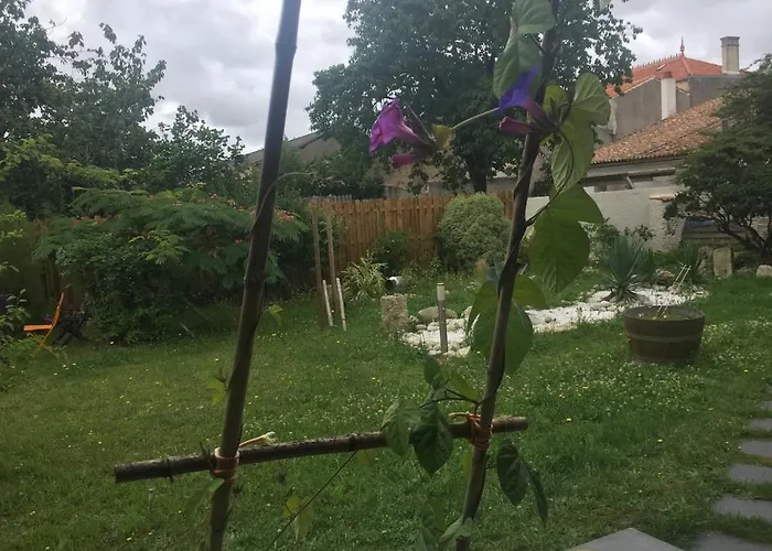 Accacia Bed and breakfast